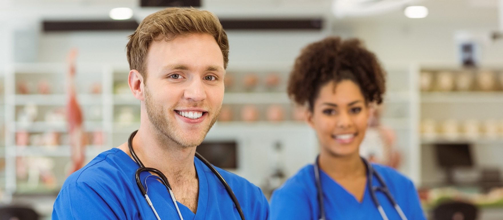 bienvenido-veterinarios