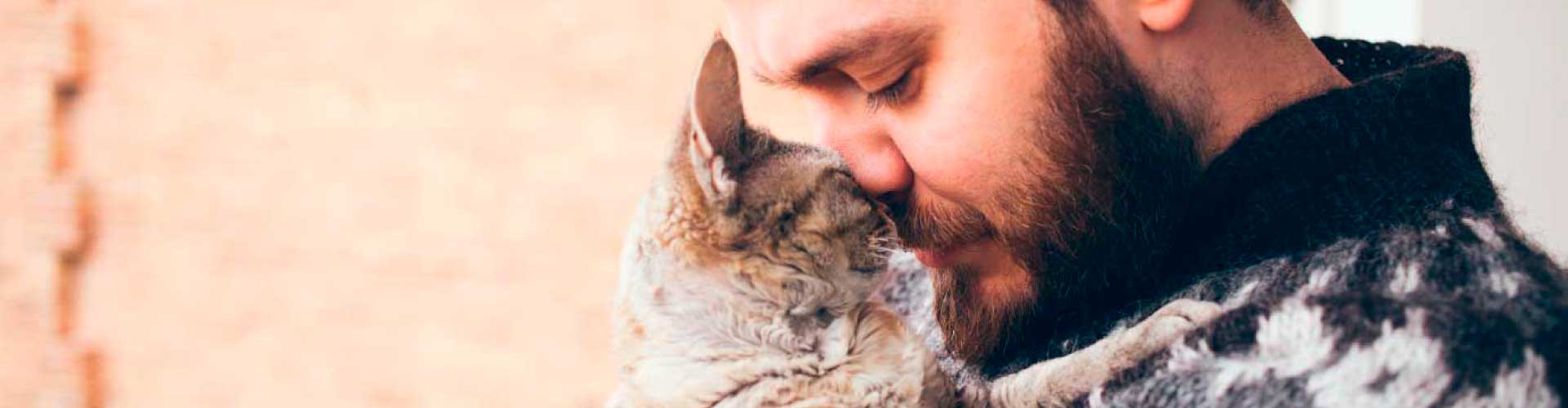 esterilizacion-blog2