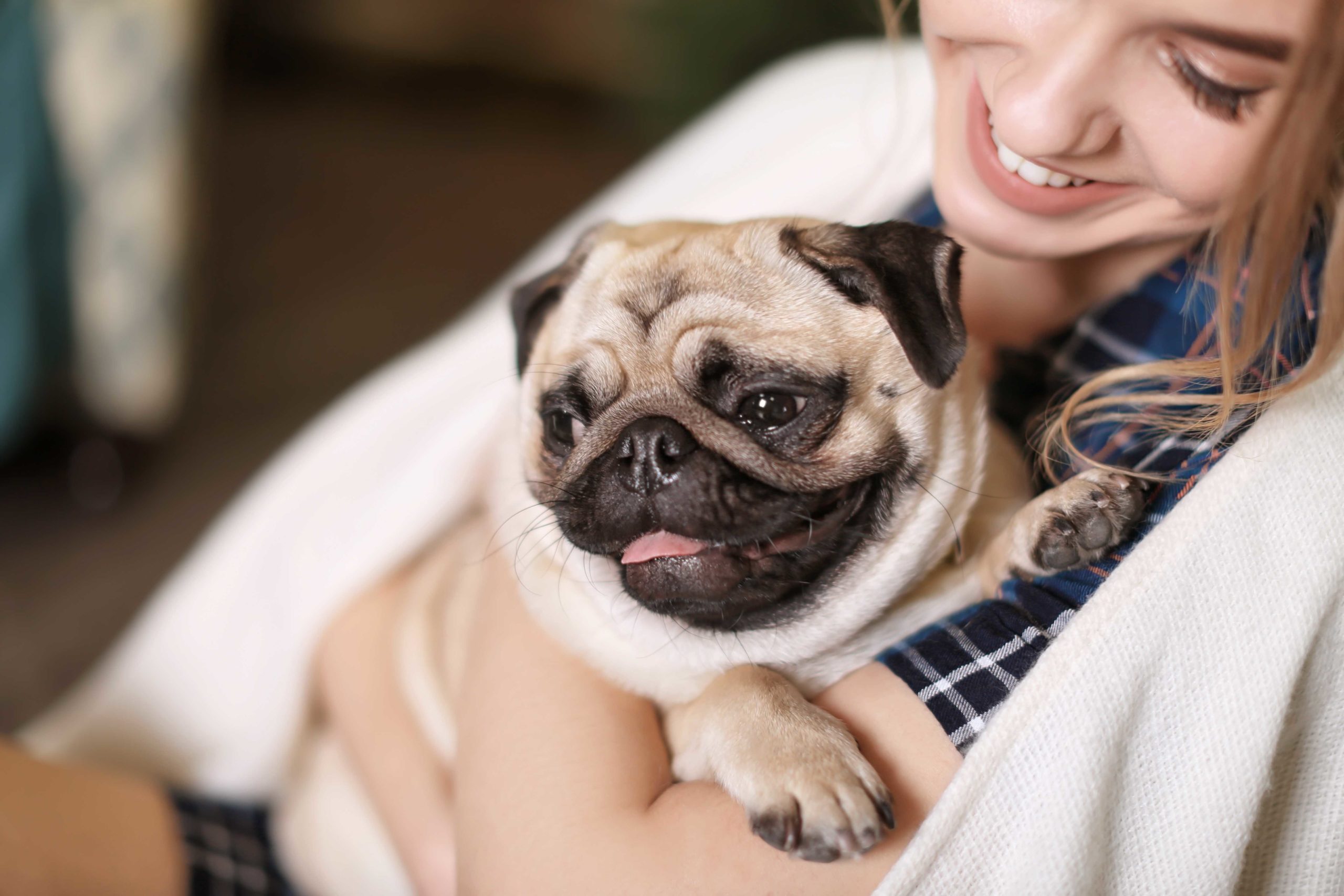 planes-de-salud-para-perros
