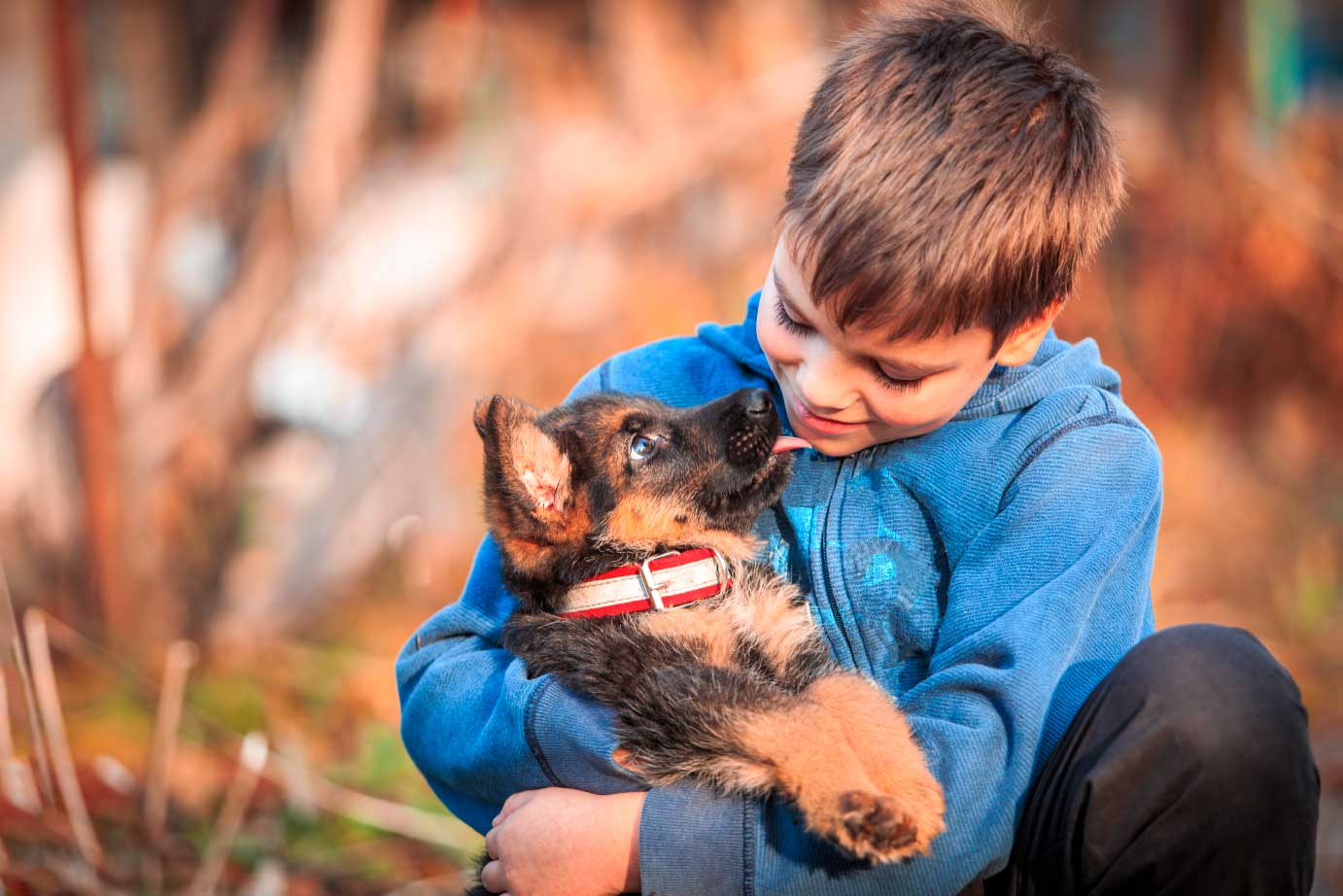salud-perro-cachorro